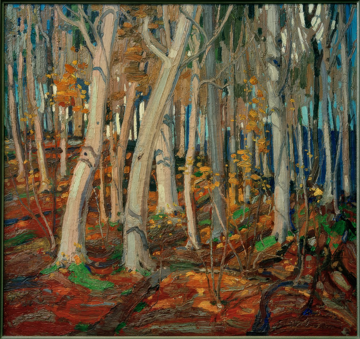 Klonowy Las, Nagie Pnie, 1916 autorstwa Tom Thomson
