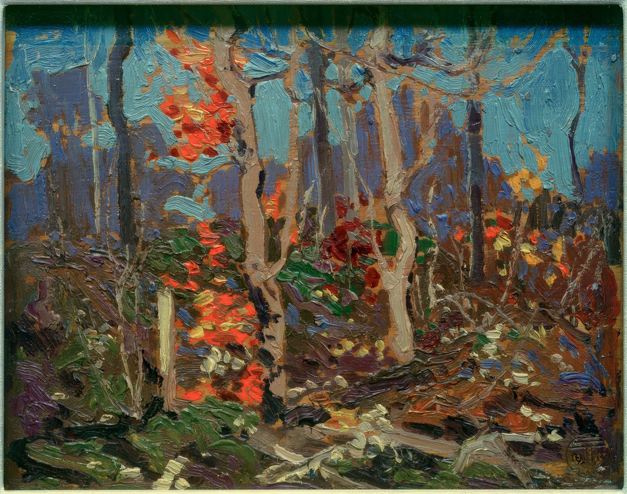 Ragged Oaks autorstwa Tom Thomson
