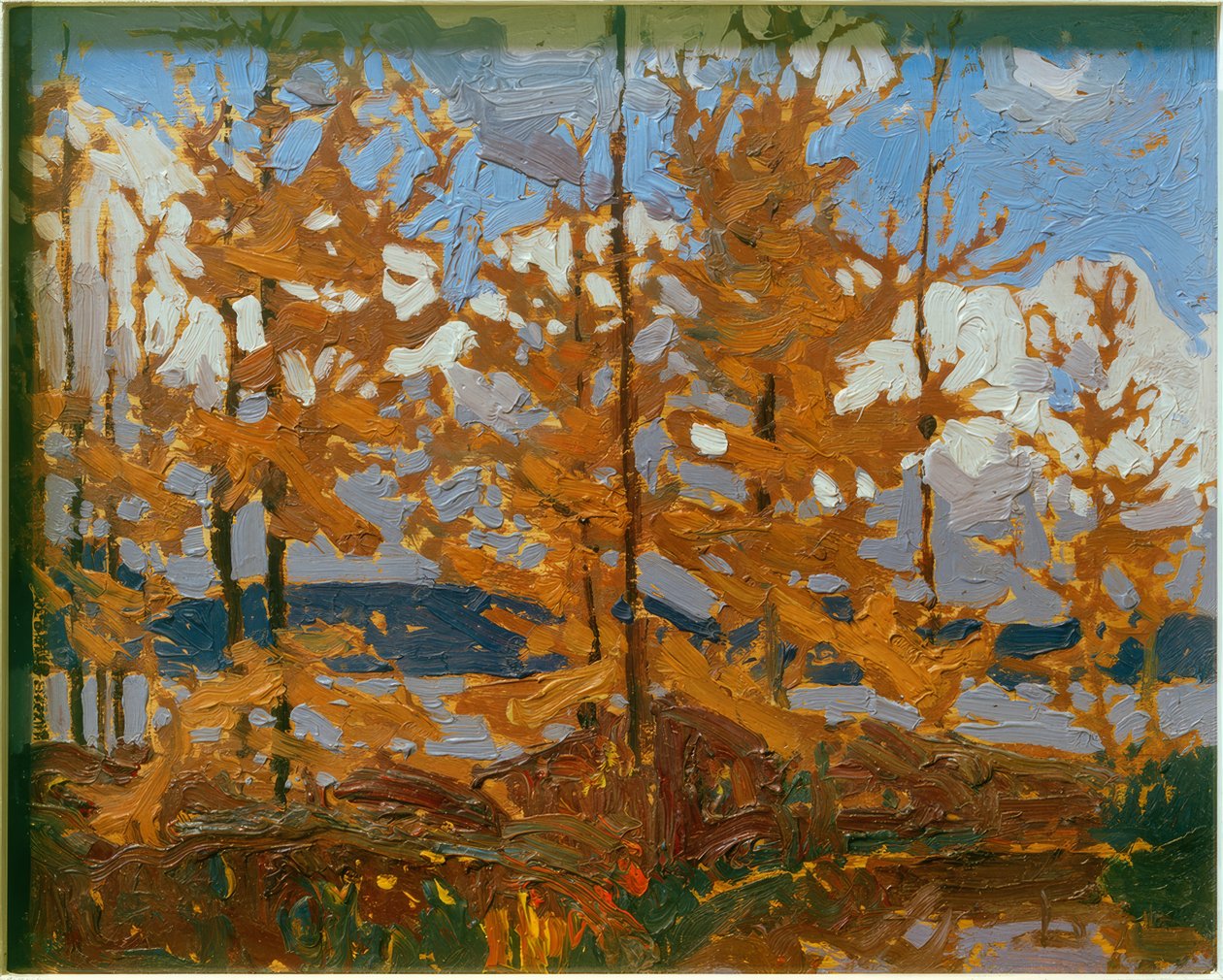 tamarkas autorstwa Tom Thomson