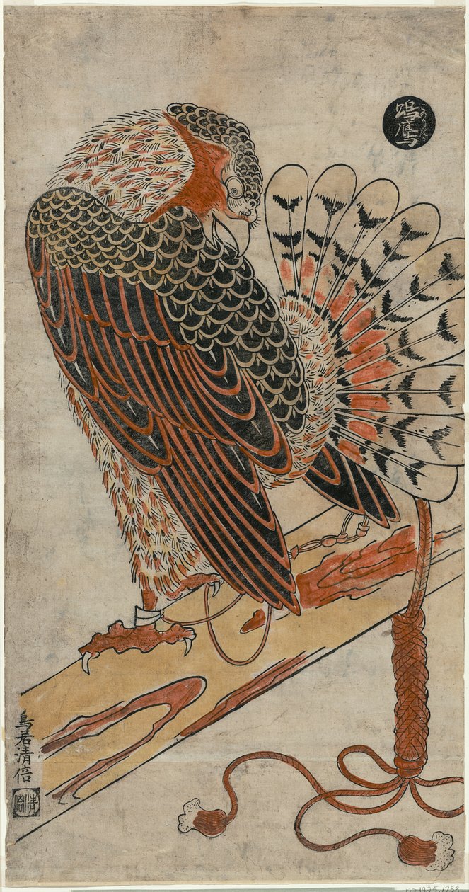 Sparrowhawk (Konori taka) autorstwa Torii Kiyomasu I