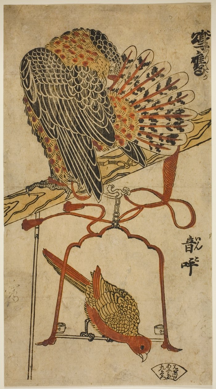 Krogulec i Ara (Krogulc i Ara) autorstwa Torii Kiyomasu I