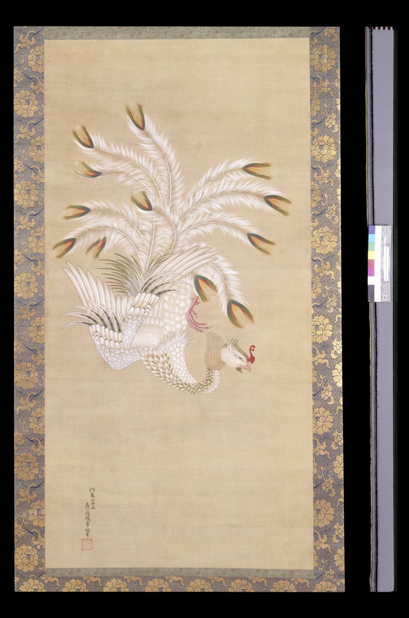 Phoenix, From Chinese Beauty, Phoenix And Peacock (atrament i kolor na jedwabiu) autorstwa Tosa Mitsuoki