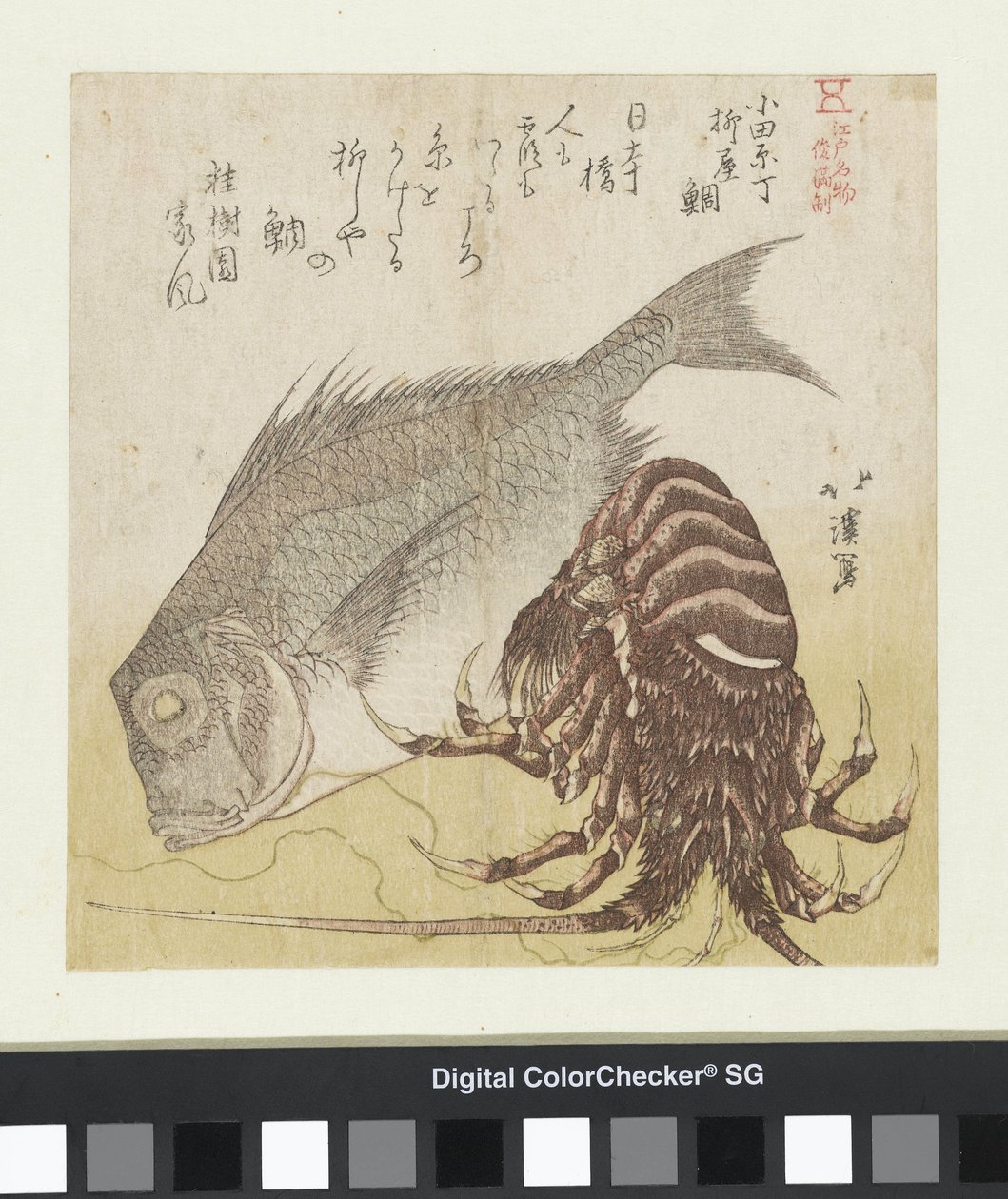 Labraks z Yanagiya w Odawarze Chô Odawara Chô Yanagiya tai (tytuł na obiekcie) Znane produkty Edo (tytuł serii) Edo meibutsu (tytuł serii na obiekcie) autorstwa Totoya Hokkei