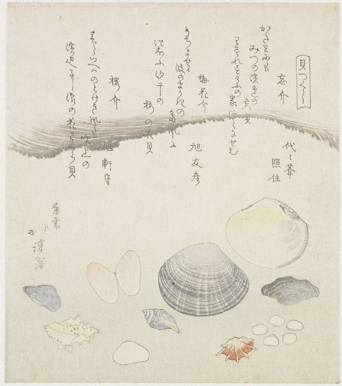 Vergeten schelp, pruimenbloesem schelp en kersen schelp Wasuregai, umenohanagai, sakuragai (title on object) Een serie van schelpen (series title) Kaitsukushi (series title on object)   1367703   pl       polish Successfully Translated  Original: Wijd land autorstwa Totoya Hokkei
