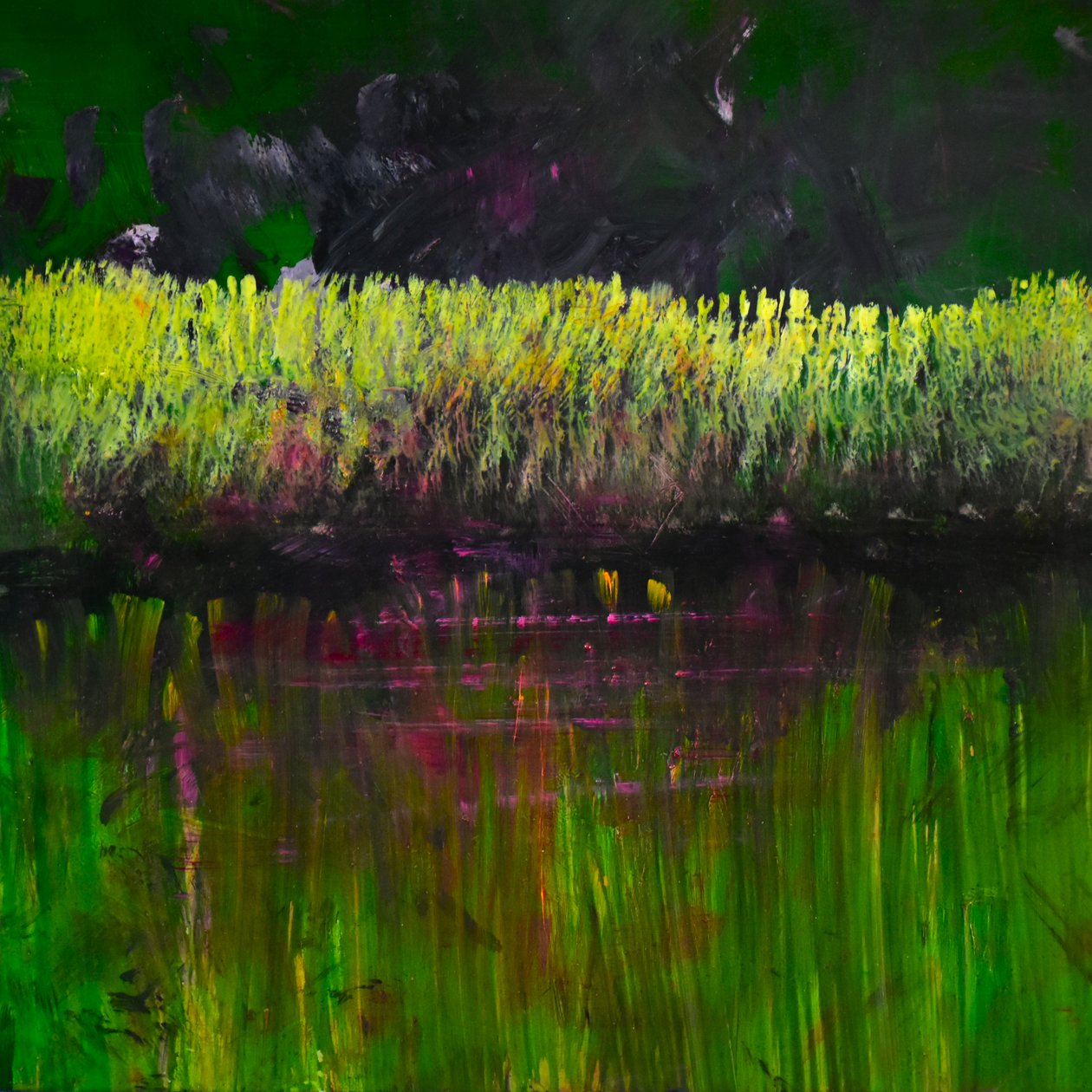 Marsh- Nocturne, 2017 (olej na panelu) autorstwa Tracy Lambros