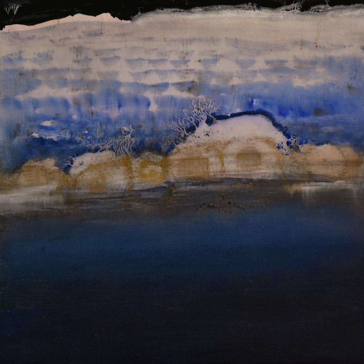Natural Unnatural Series 28, 2004 (olej na panelu) autorstwa Tracy Lambros