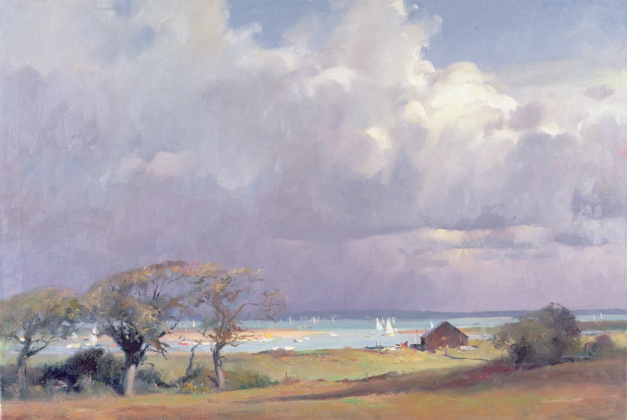Groźna burza w Solent, 1989 autorstwa Trevor Chamberlain