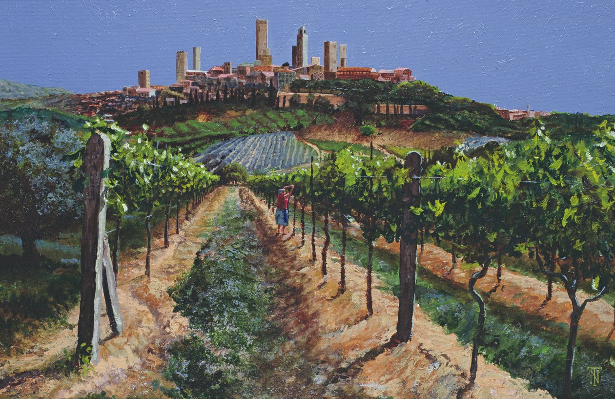 Winorośli, San Gimignano, Toskania, 1998 autorstwa Trevor Neal