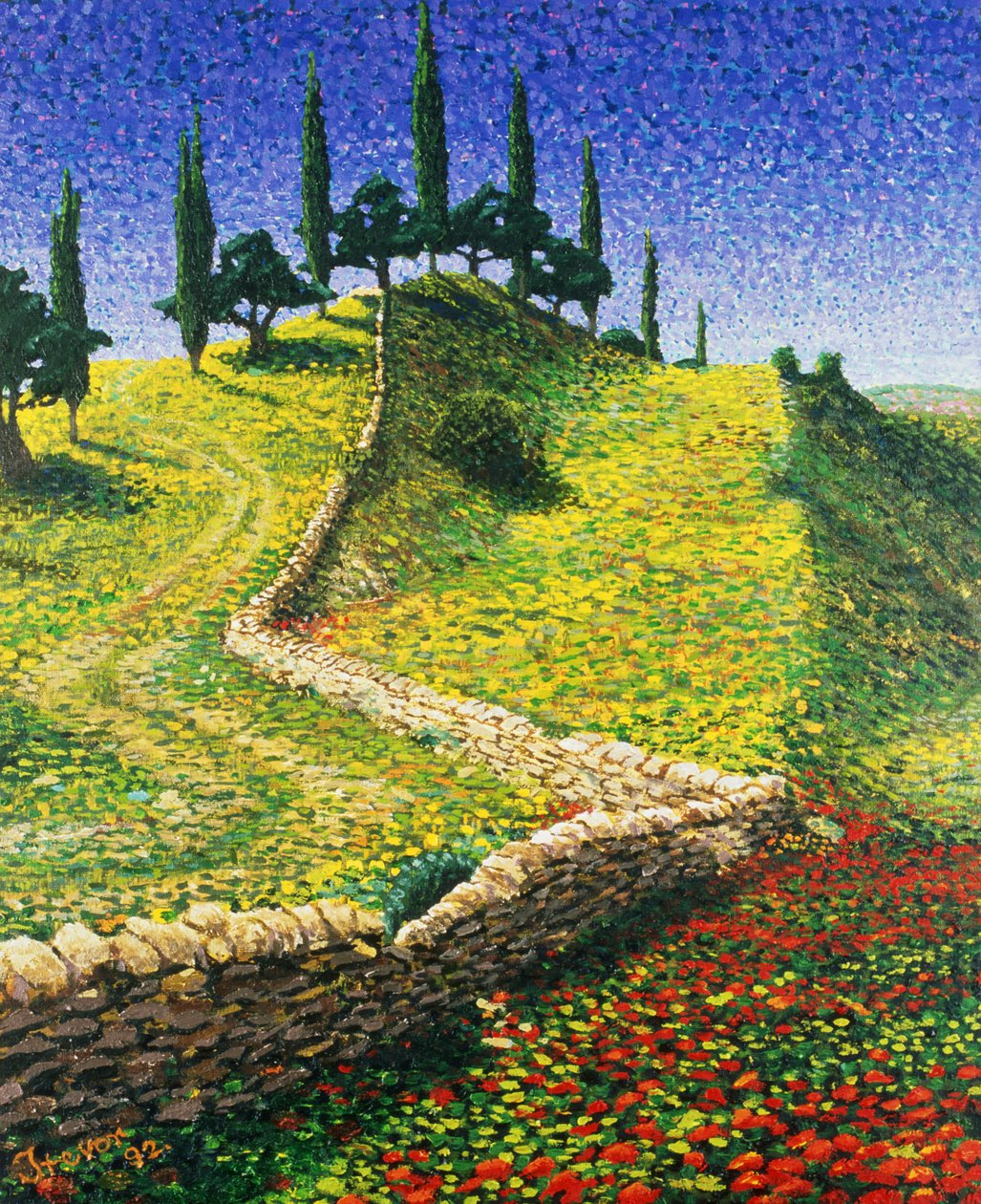 Hiszpański szczyt wzgórza, 1992 autorstwa Trevor Neal