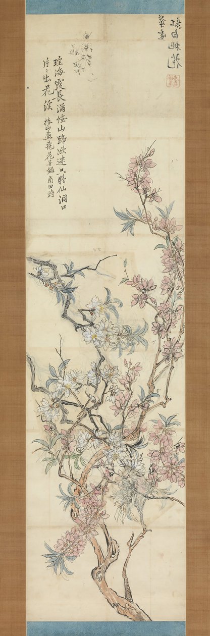 Czerwone i białe kwiaty brzoskwini, szkic przygotowawczy, 1843. autorstwa Tsubaki Chinzan