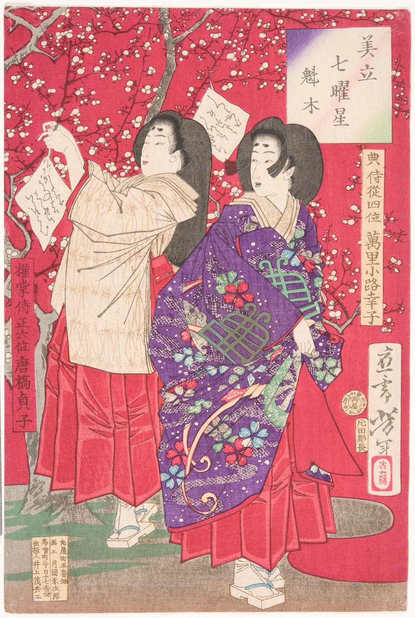 Drewno dla śliwy autorstwa Tsukioka Yoshitoshi