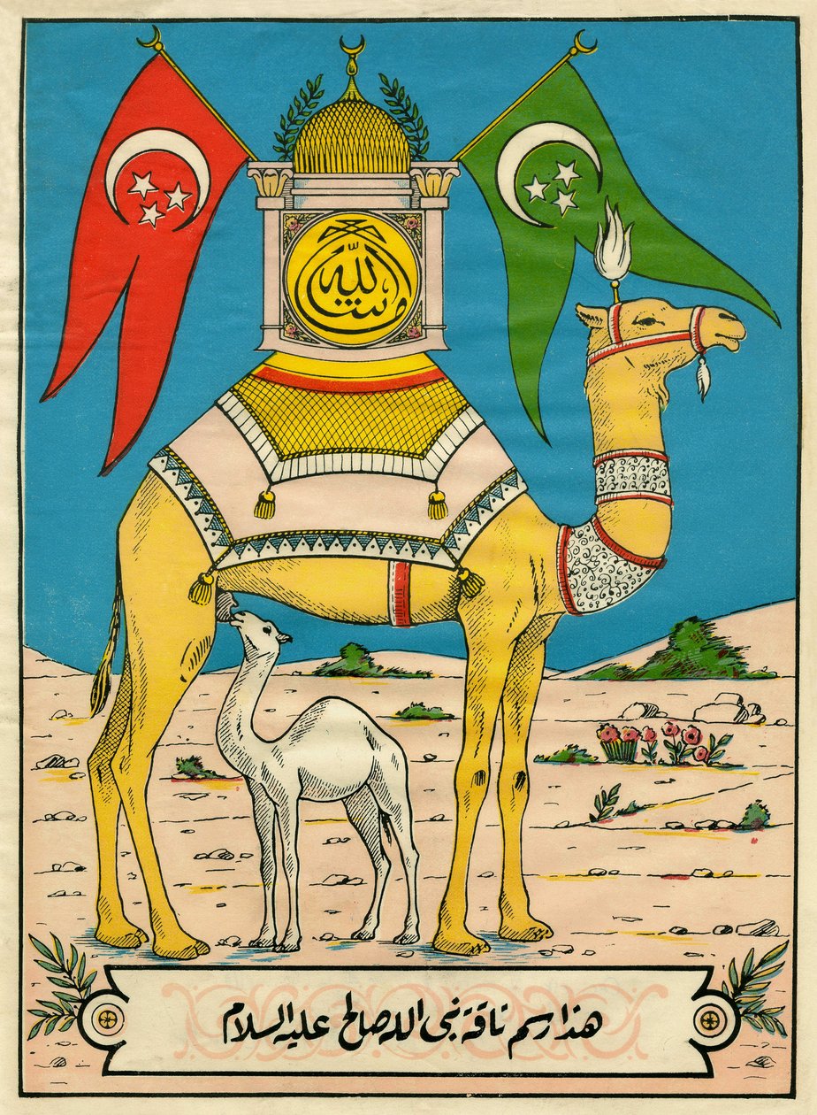 Wielbłąd z Saleh, Sura 7, werset 71: (...) ten wielbłąd Boży jest dla was znakiem (...). Popularne zdjęcia, Tunezja autorstwa Tunisian School