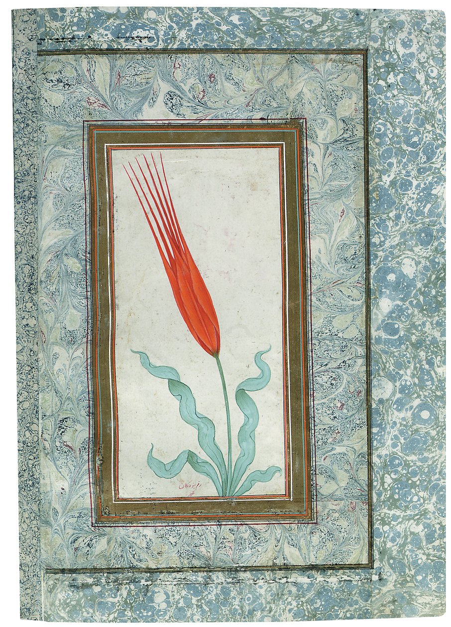 Strona z albumu Turkish Tulip, Istambuł, 1725 autorstwa Turkish School