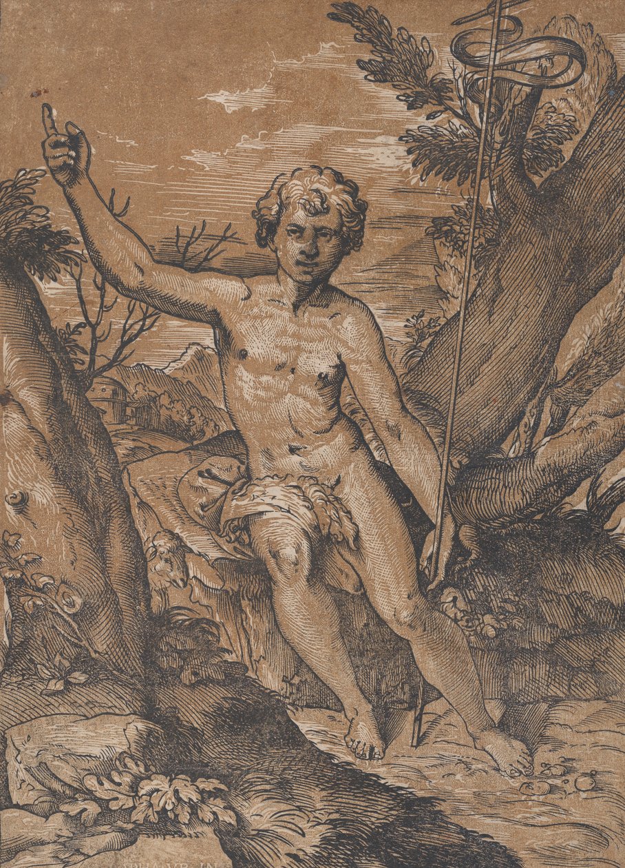 Młody św. Jan Chrzciciel na pustyni, ok. godz. 1520-27. autorstwa Ugo da Carpi
