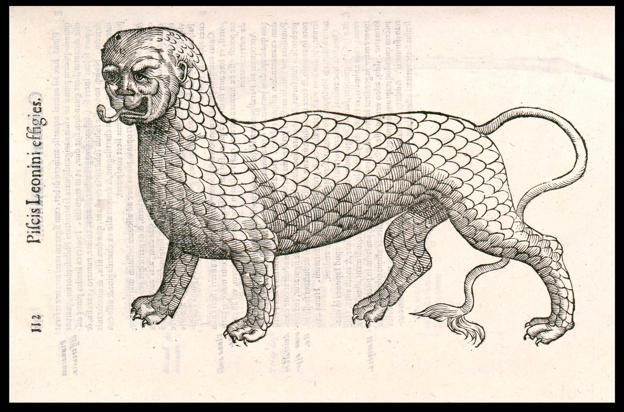 Monster Creature: lew pokryty rybią łuską (lub lwią rybą). Grawer Ulisse Aldrovandi (1522-1605), „Monstrorum Historiae””, Bolonia 1642 autorstwa Ulisse Aldrovandi