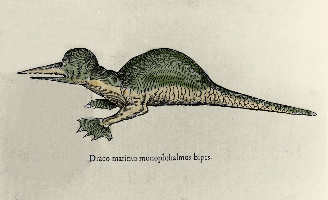 Reprezentacja morskiego smoka. Tablica z rękopisem Historii Naturalnej autorstwa Ulisse Aldrovandi (1522-1605) o potworach autorstwa Ulisse Aldrovandi
