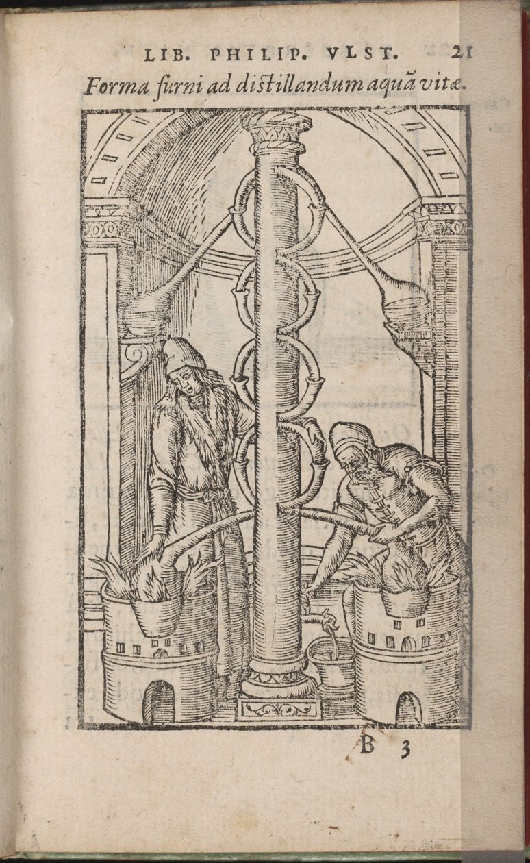 Aparat alchemiczny Z: Księga Tajemnic Natury, 1556-1557 autorstwa Ulstadius