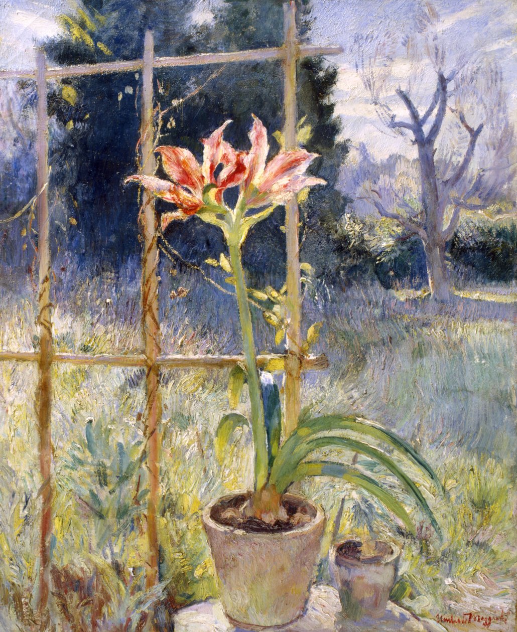 Amarylis autorstwa Umberto Moggioli