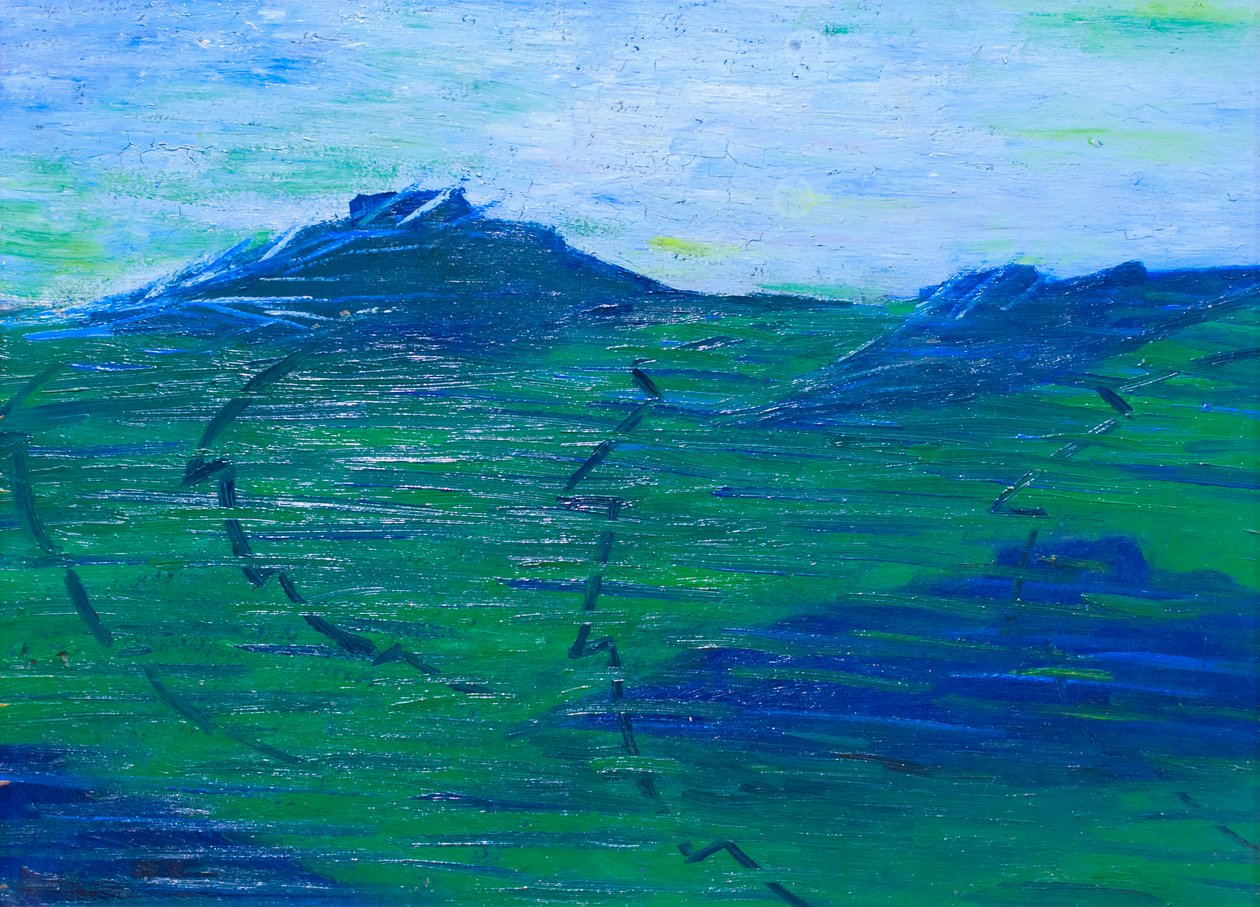 Stany umysłu: ci, którzy idą autorstwa Umberto Boccioni