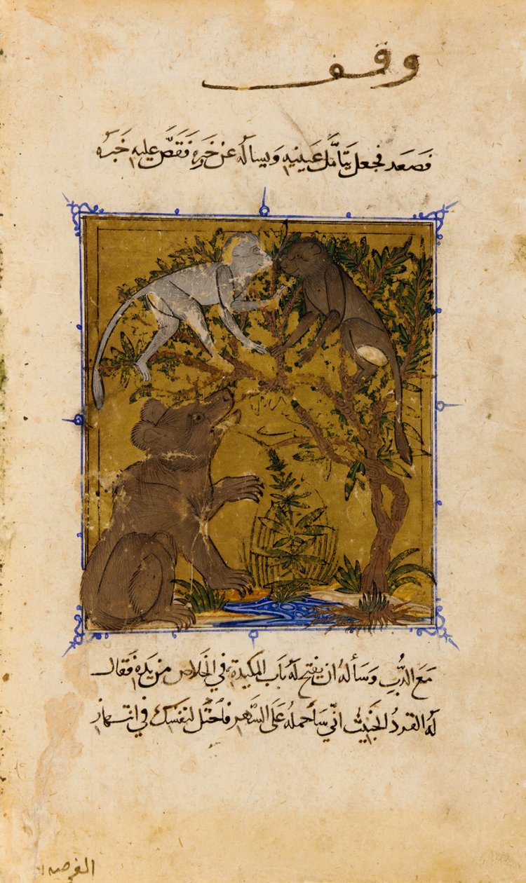 Folio z Sulwan al-Muta (Ukojenie przyjemności) Ibn Zafara; verso- Opowieść o niedźwiedziu i M... autorstwa Unbekannt Unbekannt