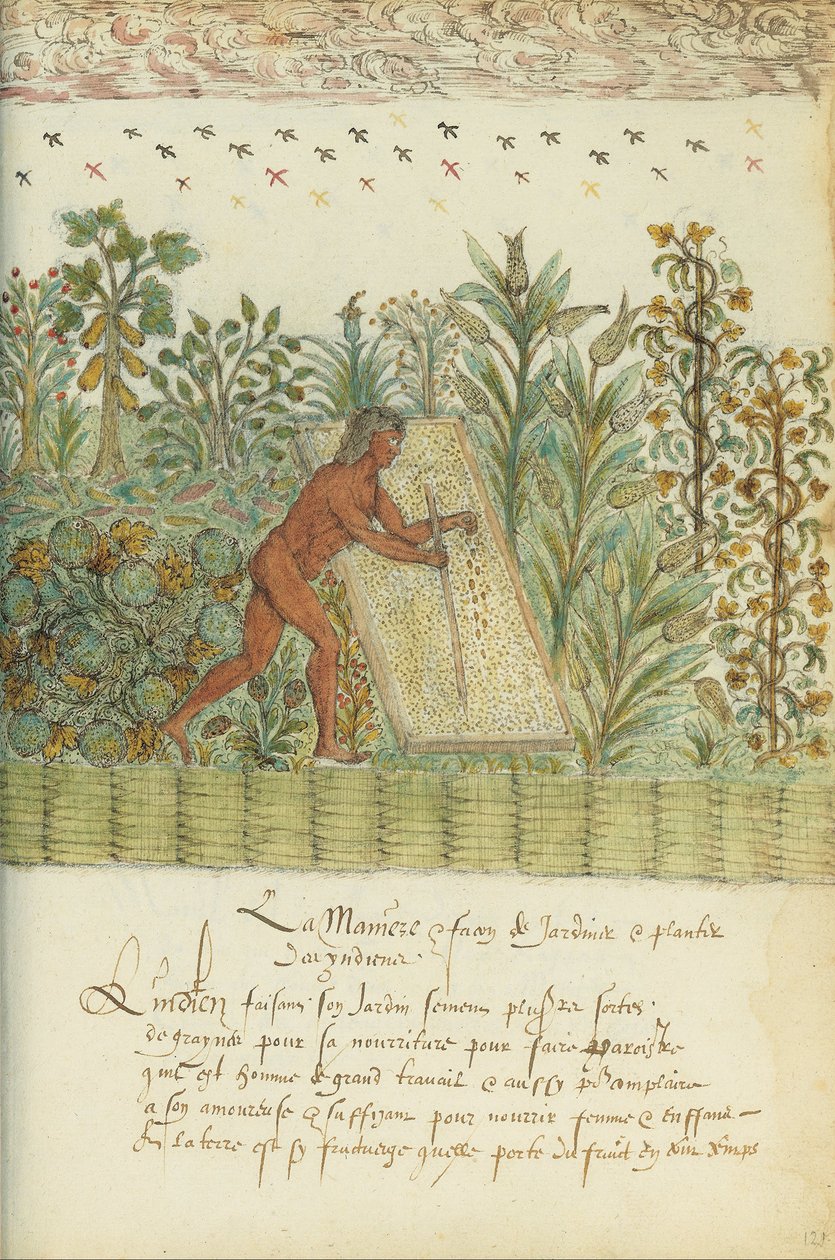 Historia naturalna Indii autorstwa Unbekannt Unbekannt