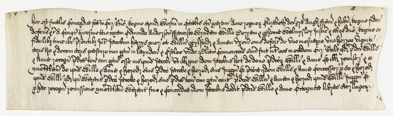 Land, Layndon, 20 akrów i 1 messuage zwany , Data Octo. 1585 autorstwa Unbekannt Unbekannt