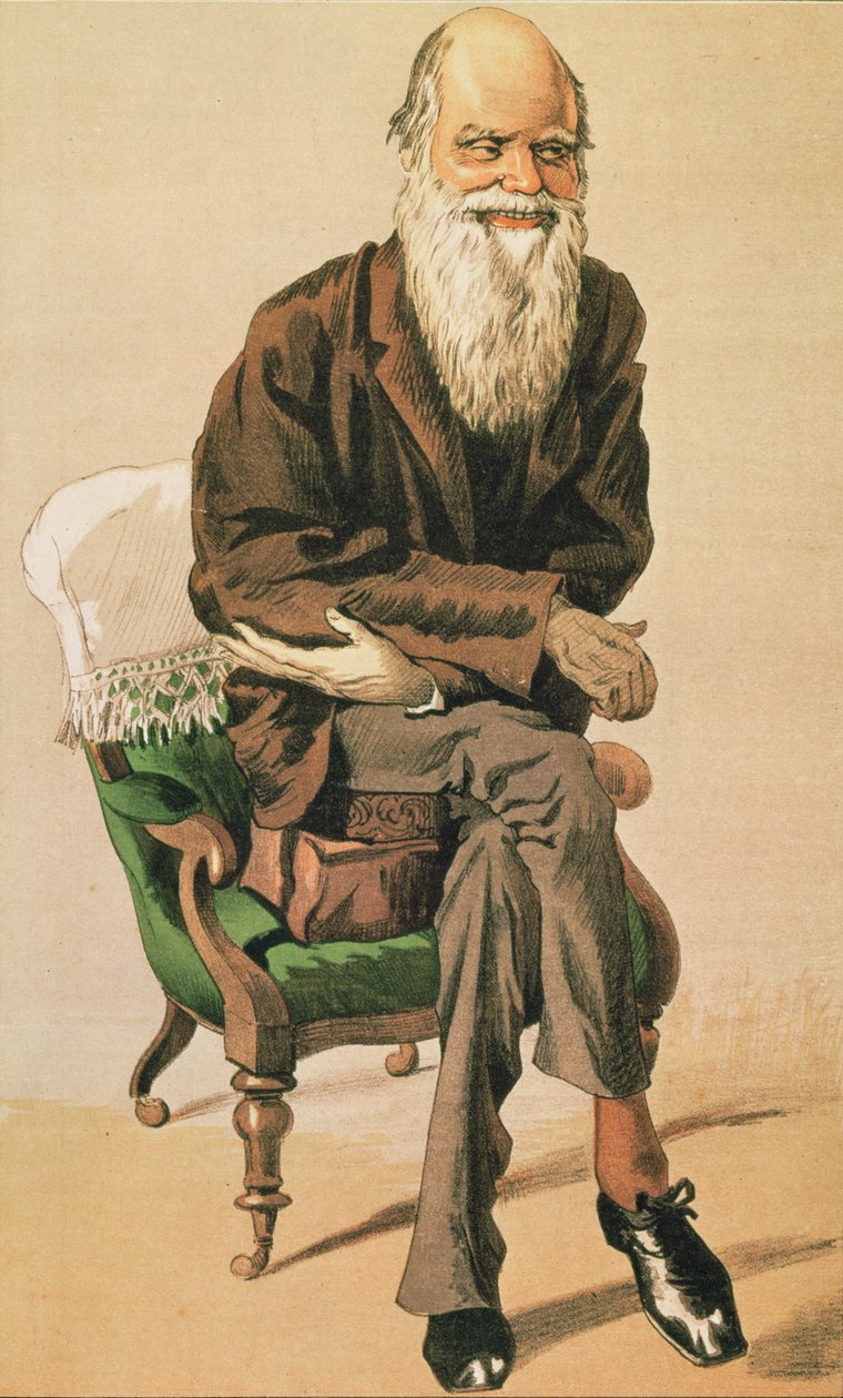 Mężczyźni dnia, nie. 33, Charles Darwin, rysunek z Vanity Fair autorstwa Unbekannt Unbekannt