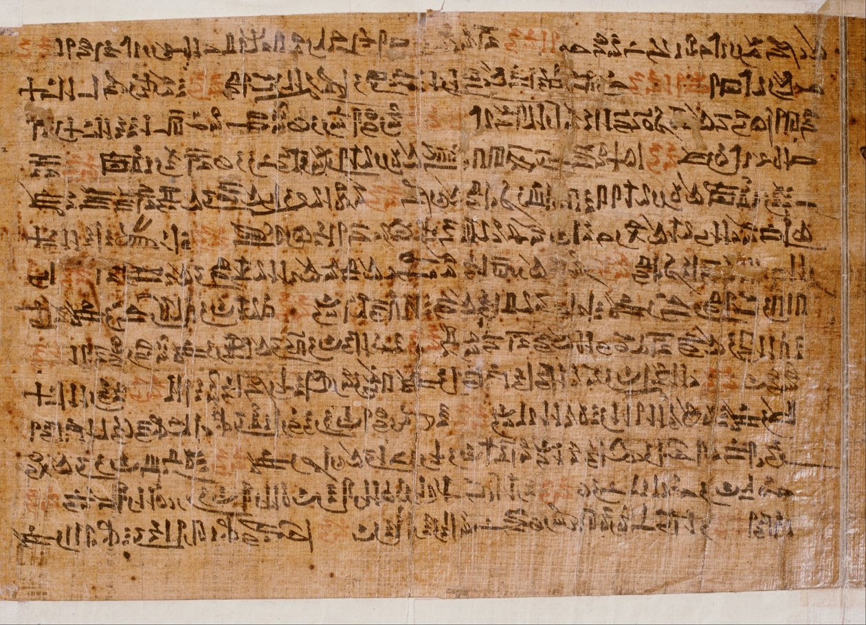 Papirus Ipoewera autorstwa Unbekannt Unbekannt