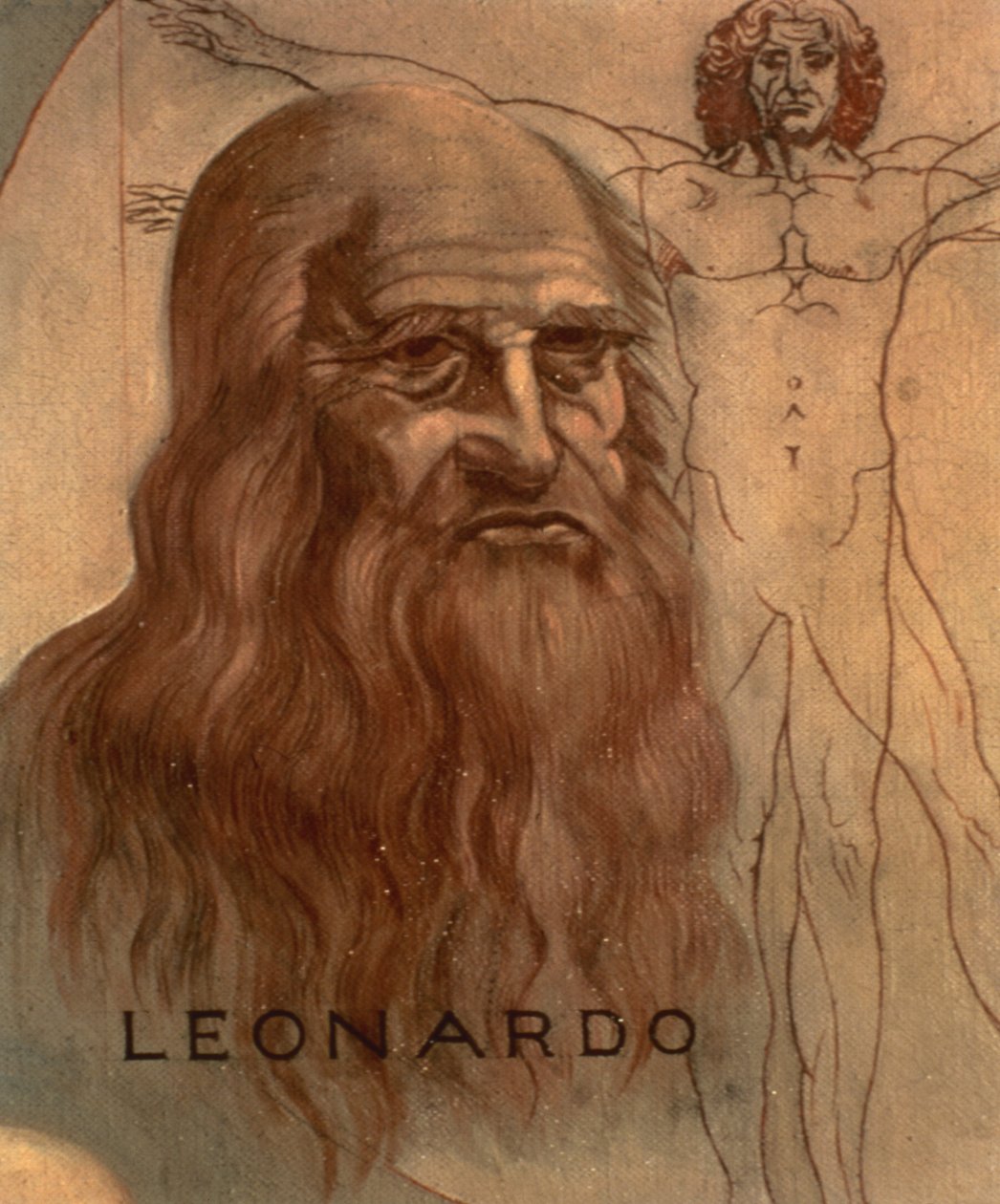 Portret Leonarda da Vinci z jego „Człowiekiem witruwiańskim” autorstwa Unbekannt Unbekannt