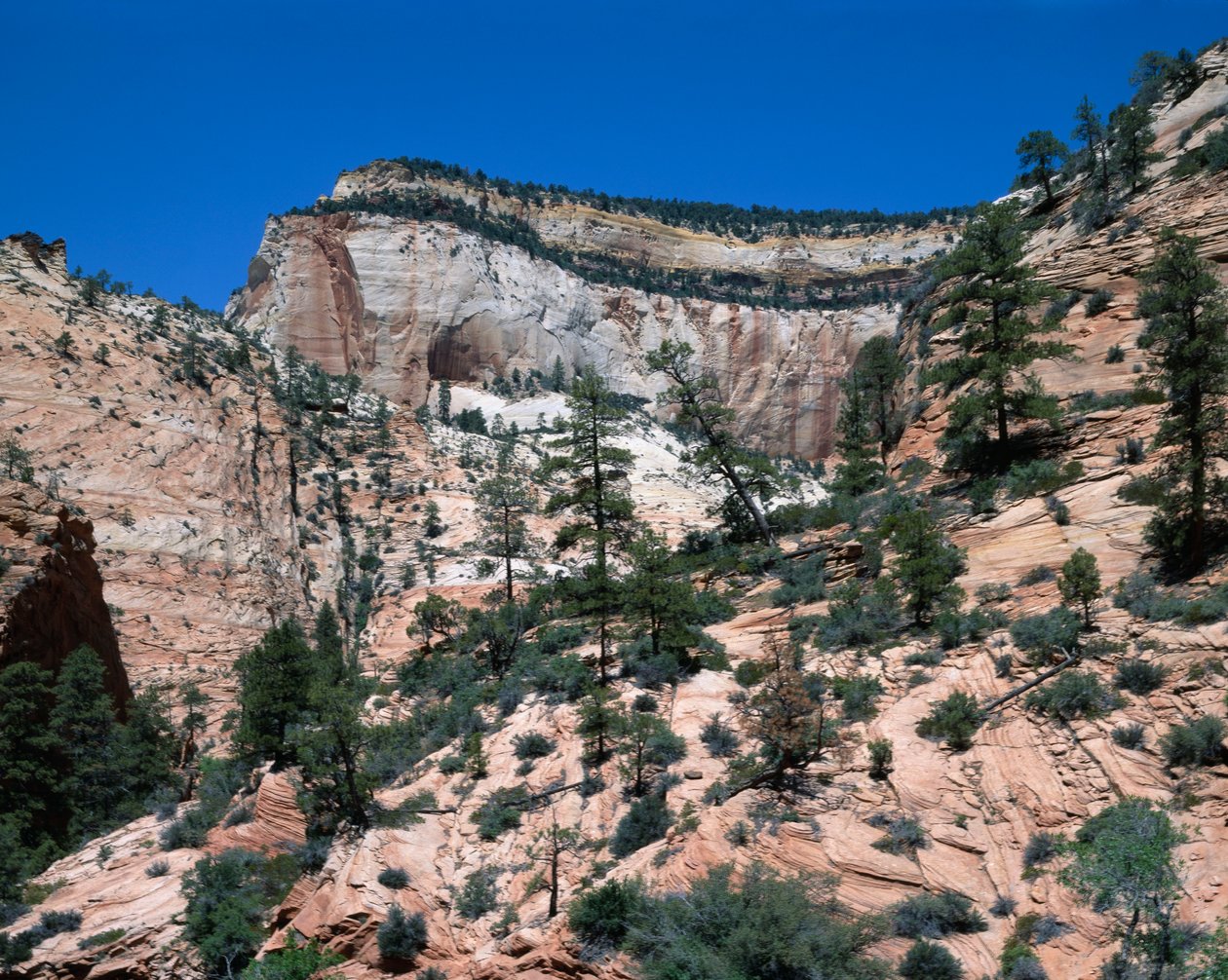 Park Narodowy Zion, Utah autorstwa Unbekannt Unbekannt