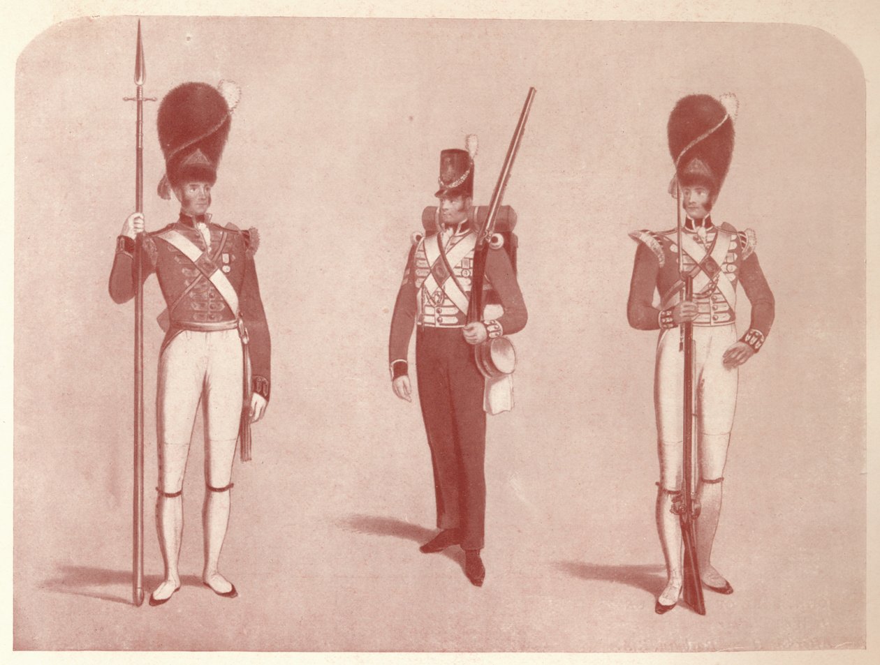 1 lub Pułk Grenadierów Gwardii w 1815, 1909 autorstwa Unbekannt