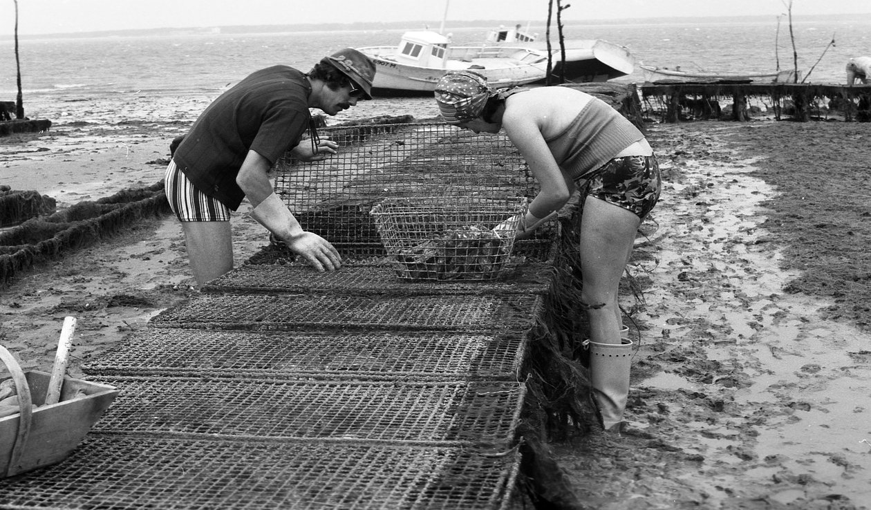 6080 C18 Ostregrower w Vendee Oyster sierpień 1974 autorstwa Unbekannt