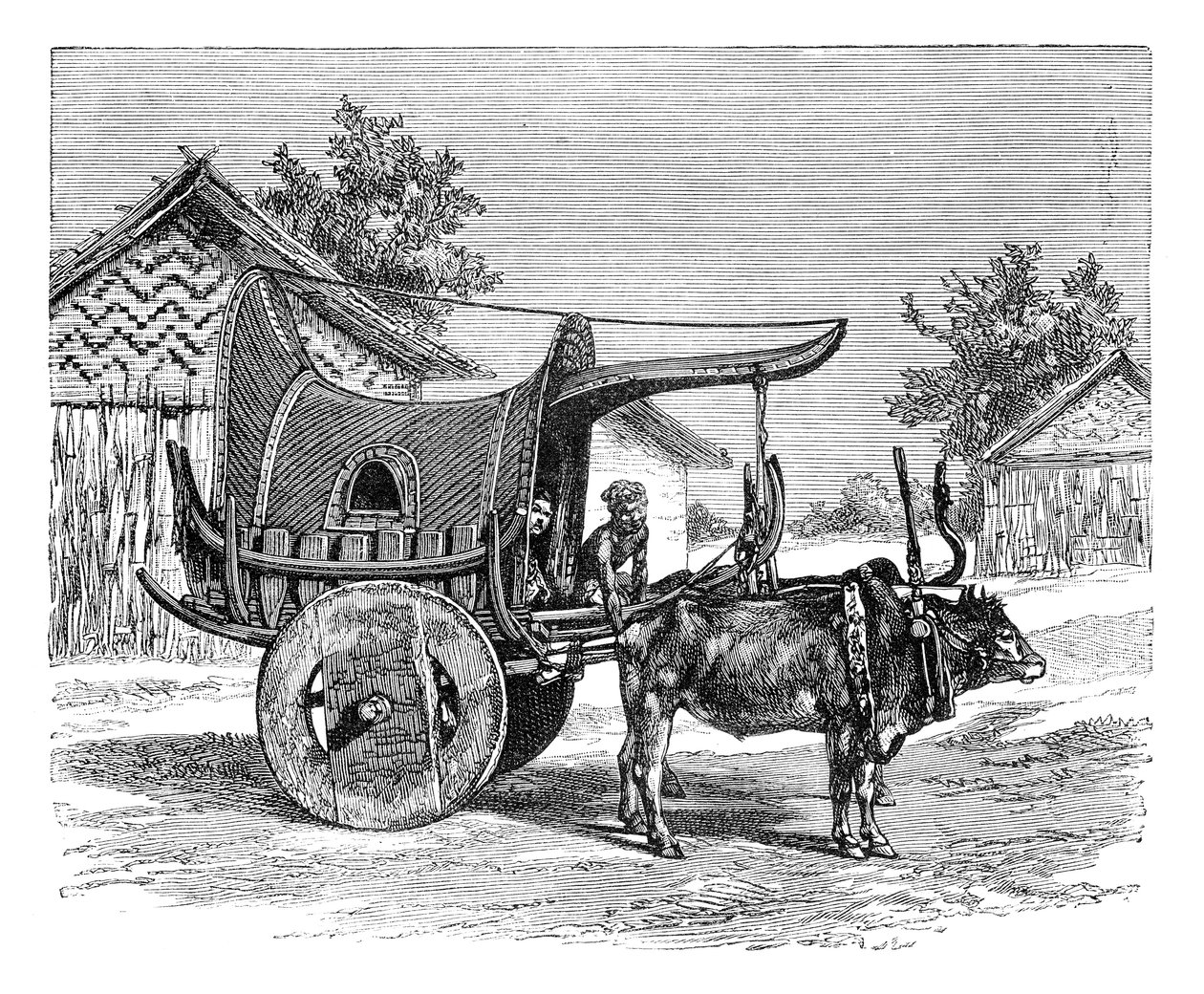 Wóz birmański, Birma Myanmar, 1895 autorstwa Unbekannt