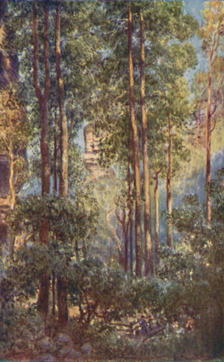 Dolina Bush w Nowej Południowej Walii, 1923. autorstwa Unbekannt