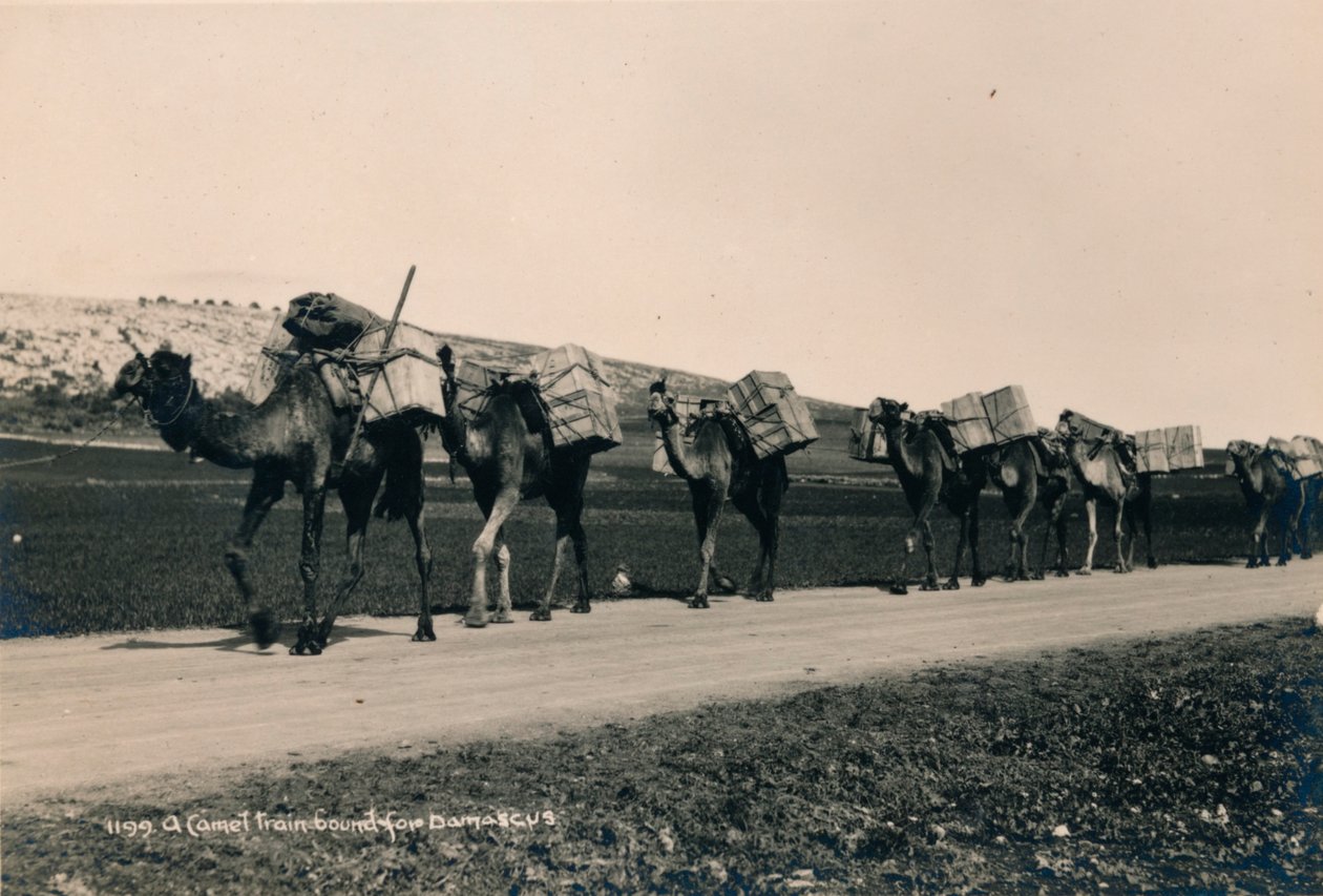 Pociąg wielbłądów zmierzający do Damaszku, 1936 autorstwa Unbekannt