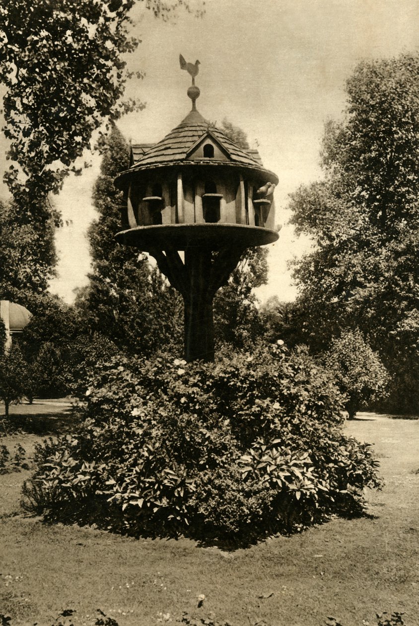 Gołębnik - w ogrodzie markizy wdowy Bute, St. Johns Lodge, Regents Park, 1920. autorstwa Unbekannt