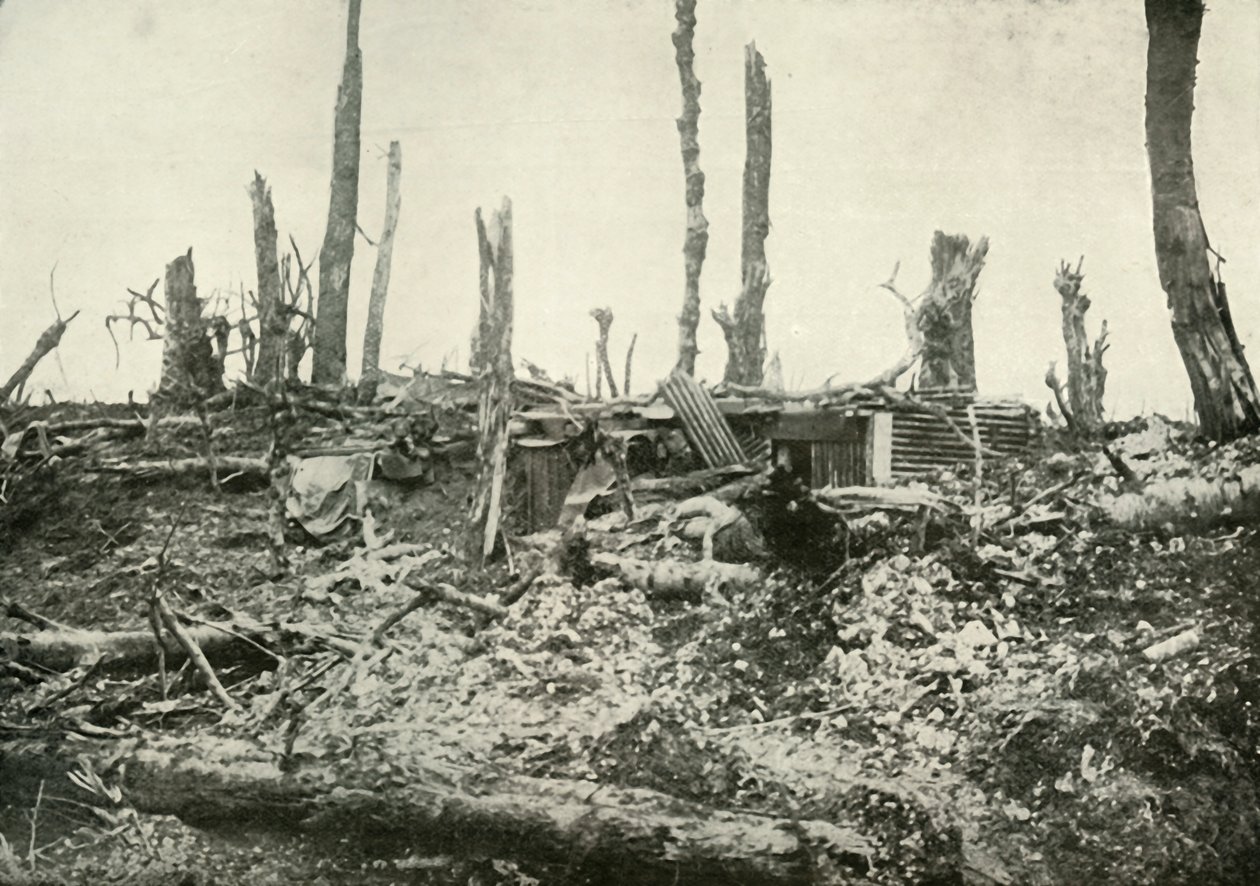 Ziemianka w dawnym lesie Sylvan, 1919. autorstwa Unbekannt