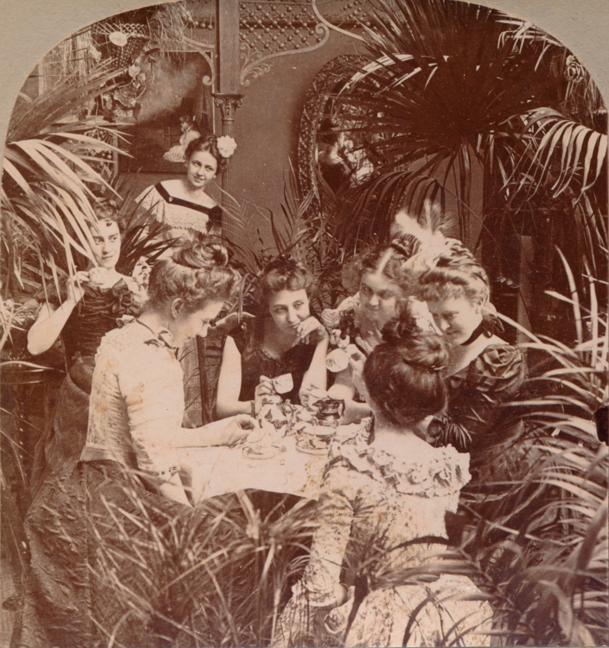 Fortuna w filiżance, 1901 autorstwa Unbekannt