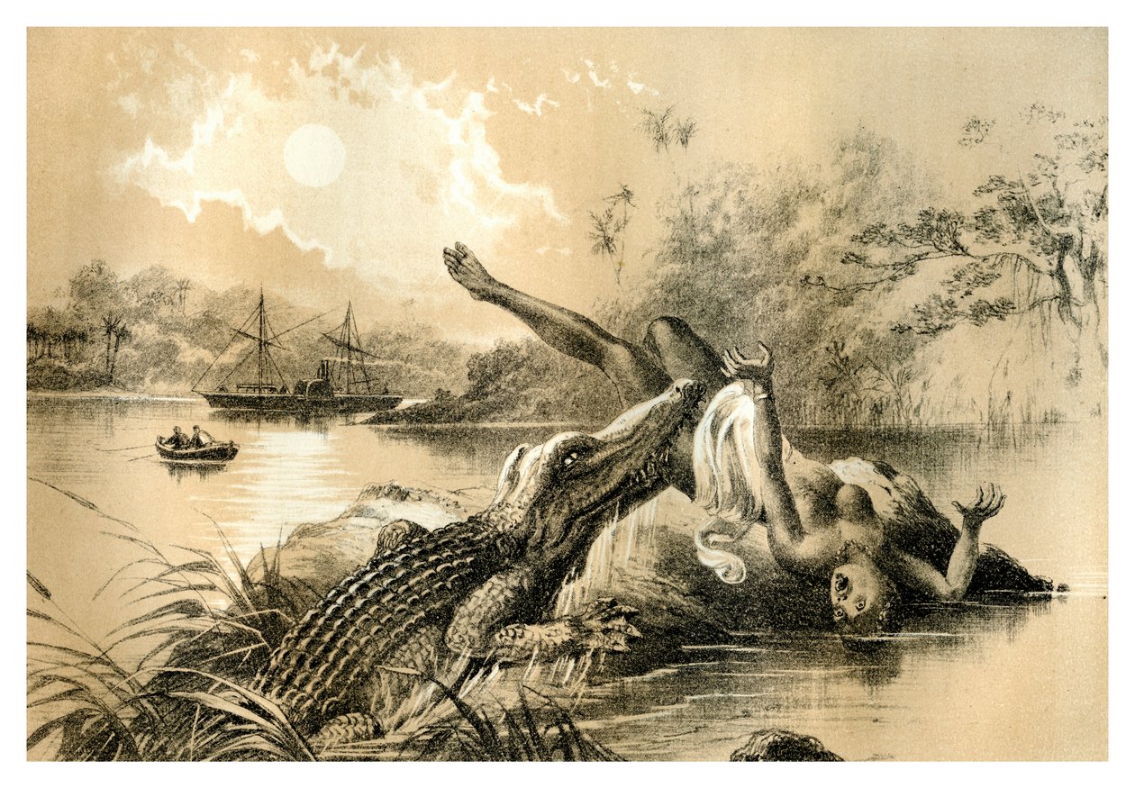 Przerażający incydent, 1883 autorstwa Unbekannt
