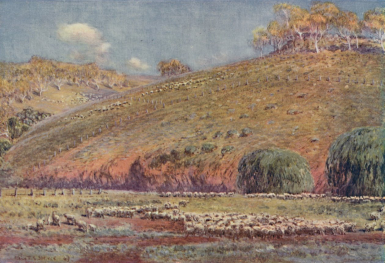 Wybieg, 1923. autorstwa Unbekannt