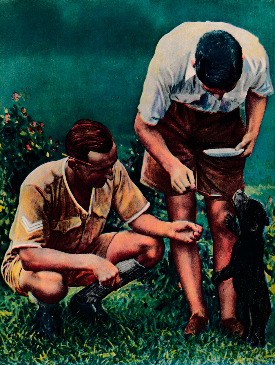 Singapurska maskotka RAF, 1940 autorstwa Unbekannt
