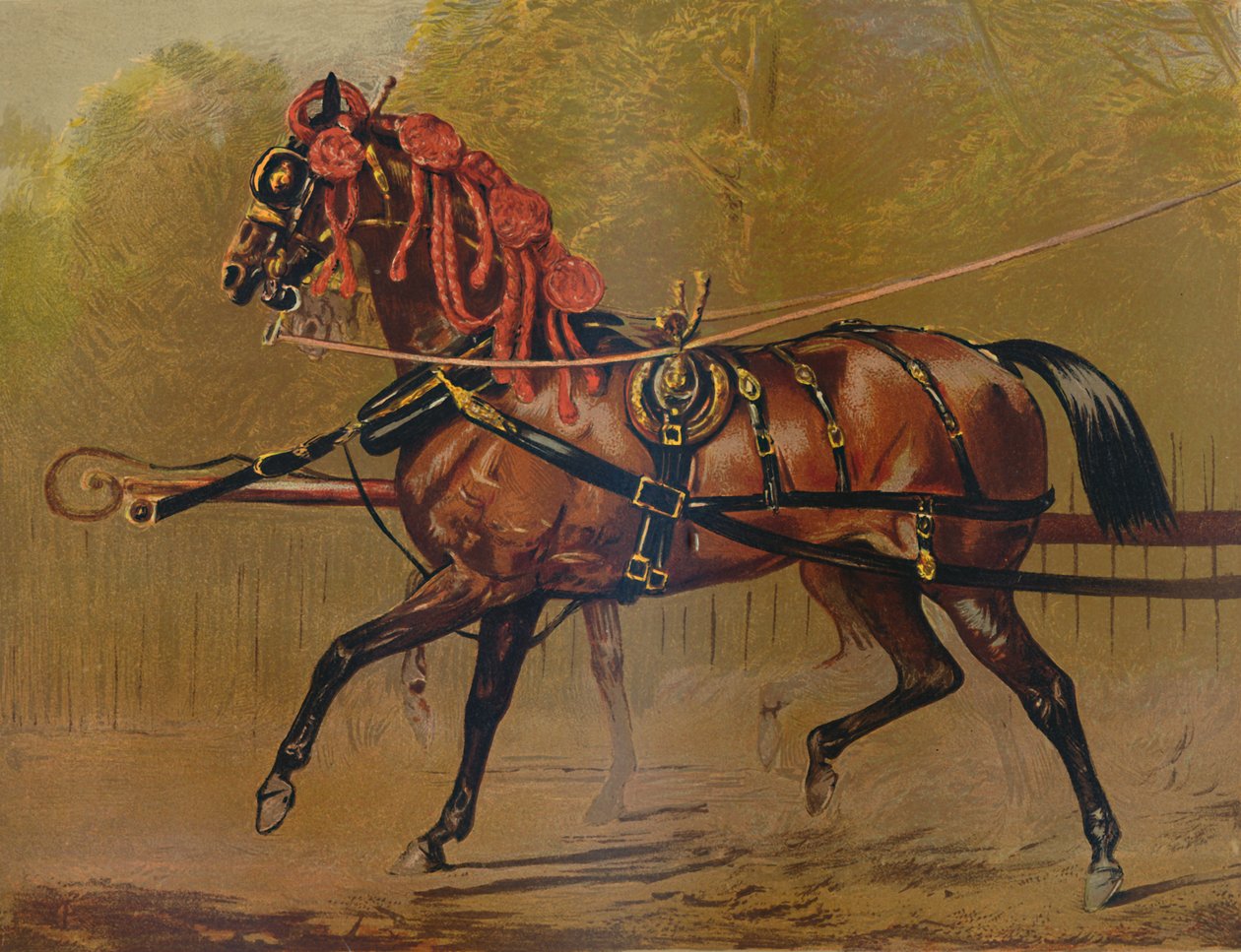 Stanowy koń powozowy, ok. 1879 r. autorstwa Unbekannt