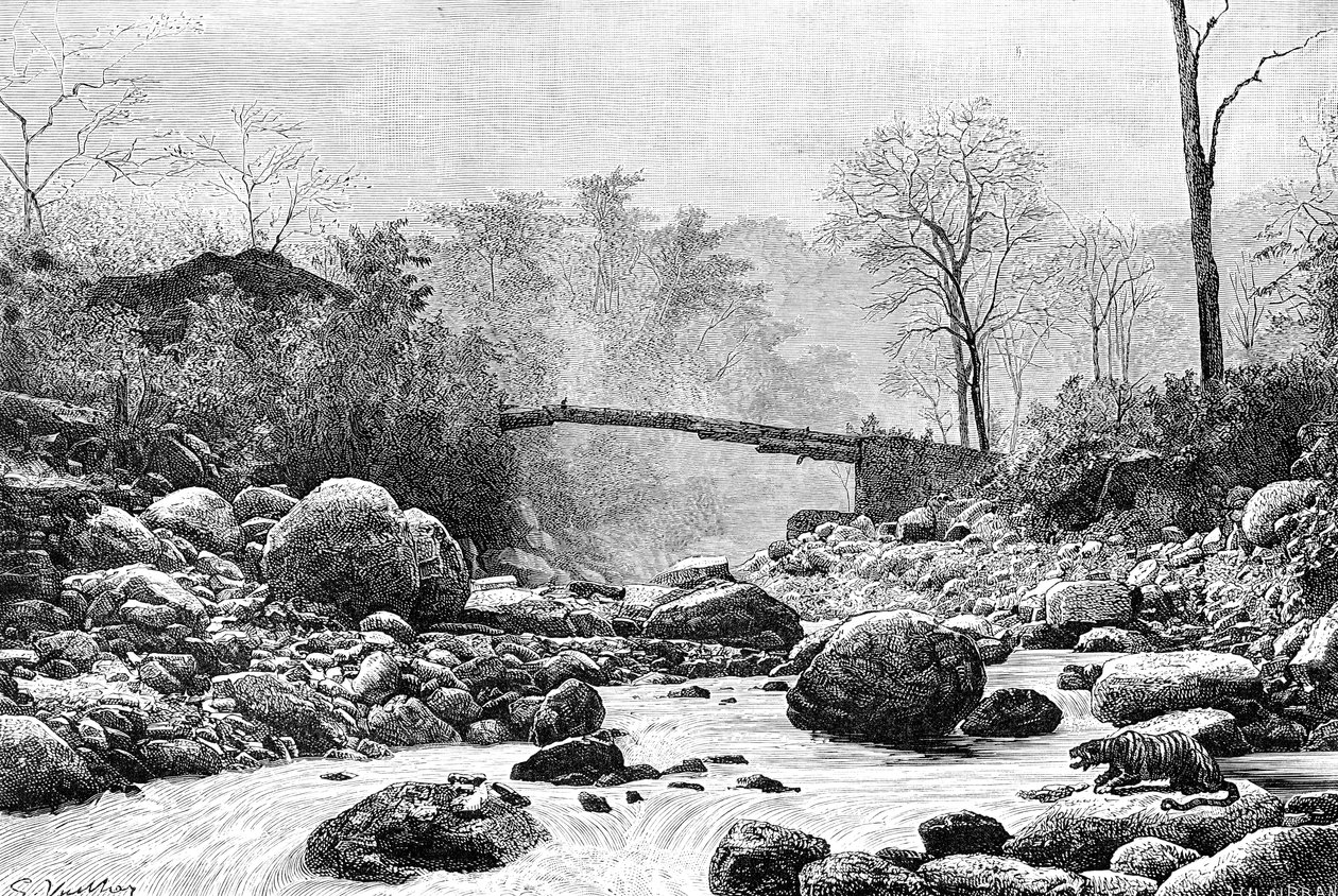 Most nad Rangit, dopływem rzeki Teesta, Indie, 1895 autorstwa Unbekannt