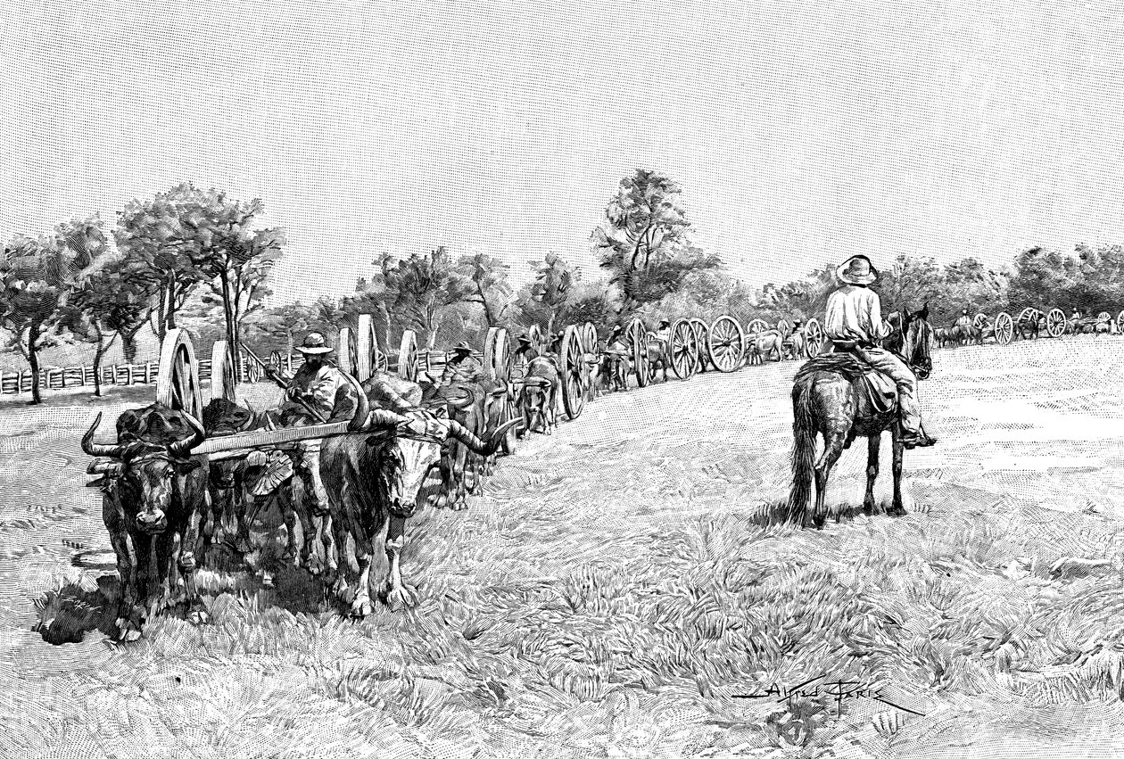 Konwój wagonów, Ameryka Południowa, 1895 autorstwa Unbekannt