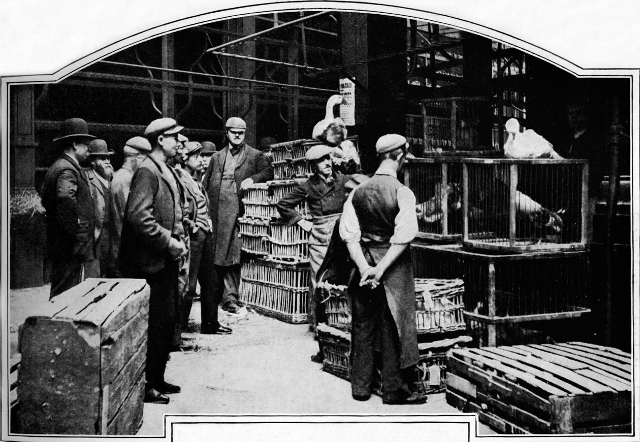 Róg Leadenhall Market, Londyn, c1901 1901 autorstwa Unbekannt