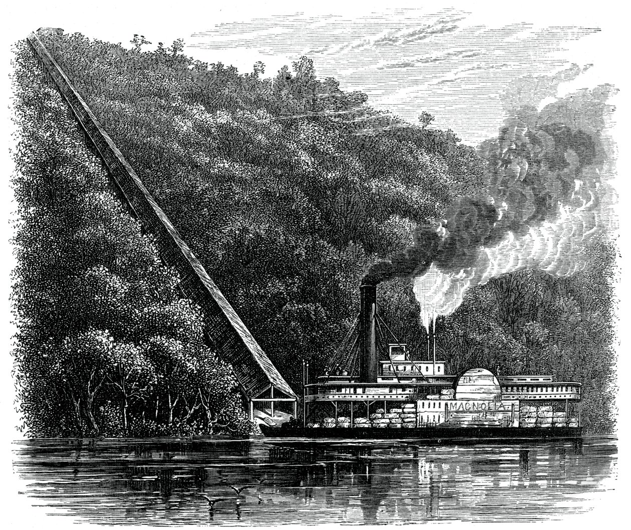 Zsyp do bawełny, Stany Zjednoczone, ok. 1880 r. autorstwa Unbekannt