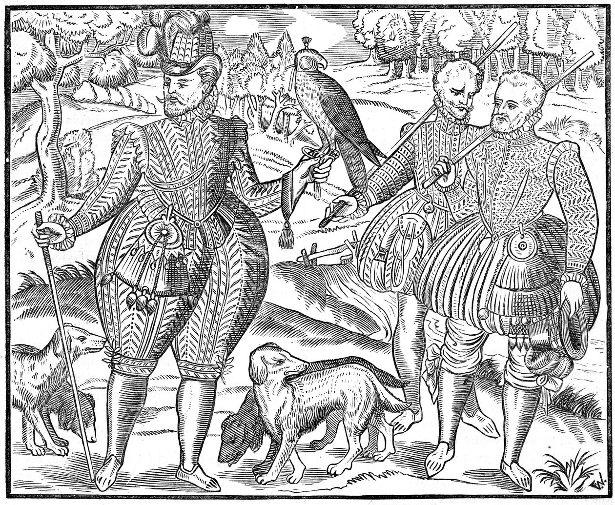 Sokolnik, 1611 autorstwa Unbekannt