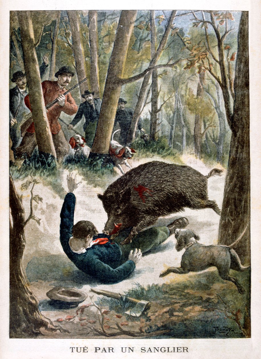 Myśliwy zabity przez dzika, 1901 autorstwa Unbekannt