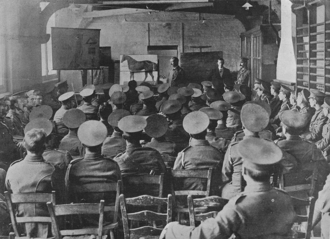 Wykład z anatomii konia, 1915 autorstwa Unbekannt