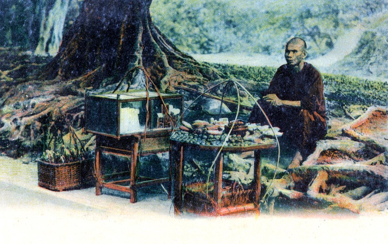 Mężczyzna sprzedający owoce pod drzewem, Hongkong, Chiny, ok. 1900 autorstwa Unbekannt